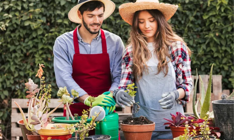 Размещение экспертных статей в журнале «7 дач»