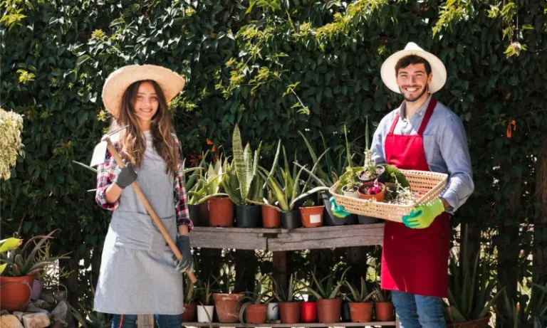 Полезные статьи для дачников размещаем экспертные советы в журнале «7 дач»