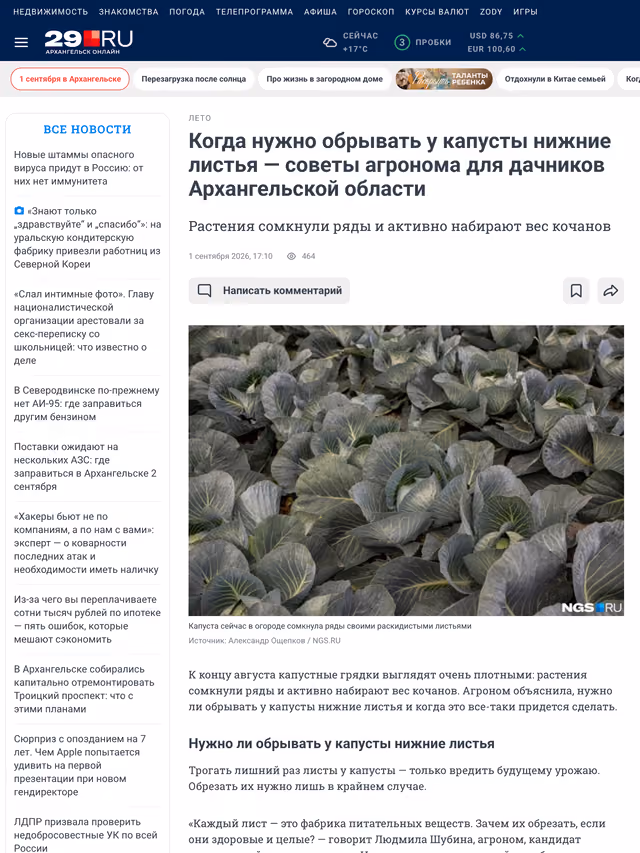 Пример публикации в «29.ru» — 2 из 3