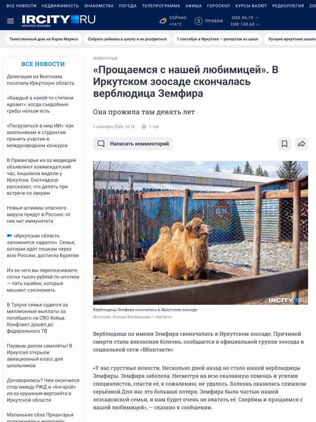 Пример публикации в «ircity.ru» — 3 из 3