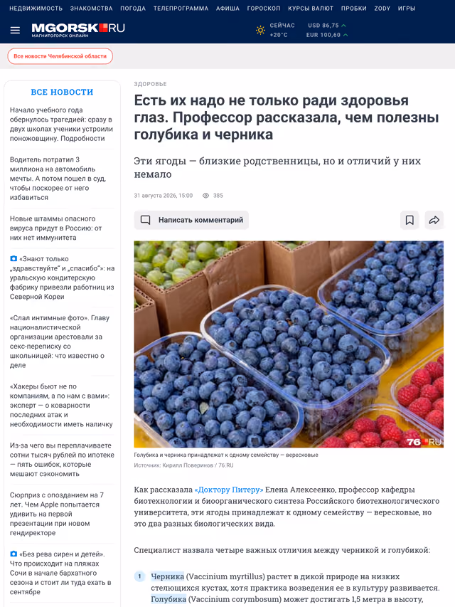 Пример публикации в «mgorsk.ru» — 3 из 3